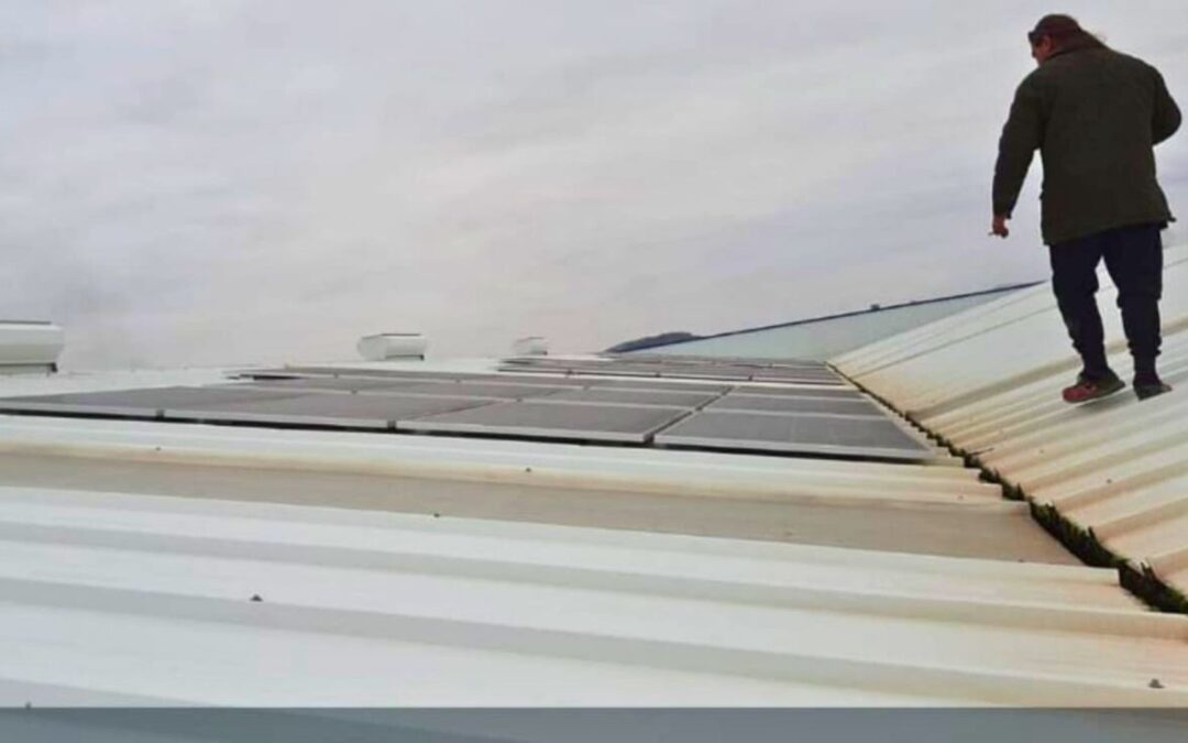 Instalación Solar en Nave de Envasado en Calasparra, Caso de Éxito